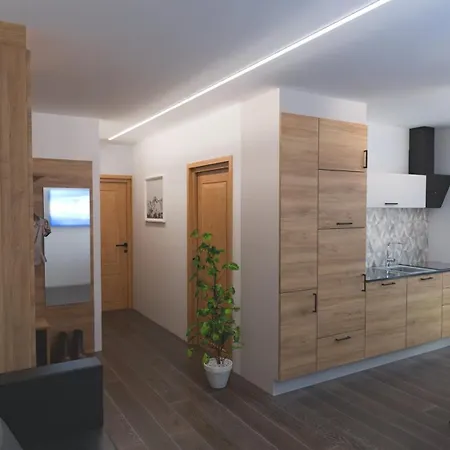 Apartman Kitzsteinhorn -summercard Included *