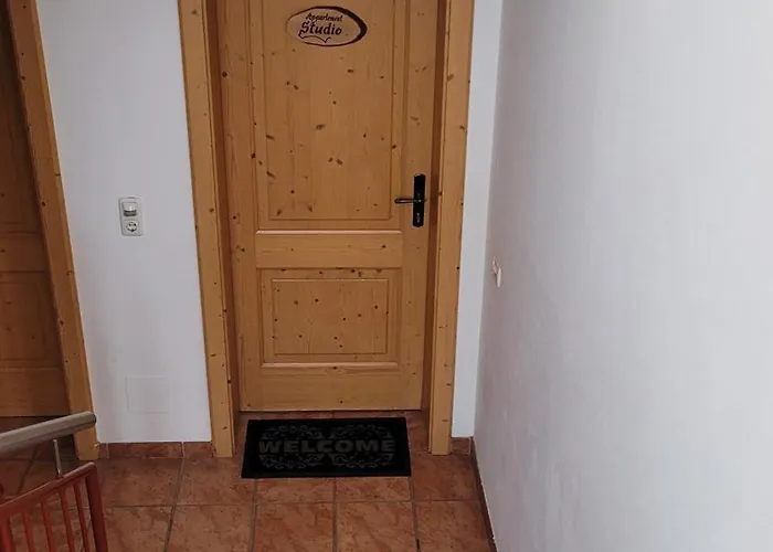 Kitzsteinhorn -summercard Included Appartement *